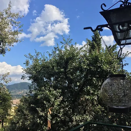 La Quercia Antica